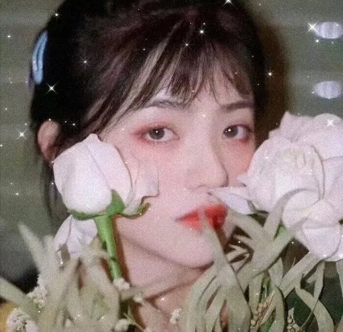 少林英雄榜